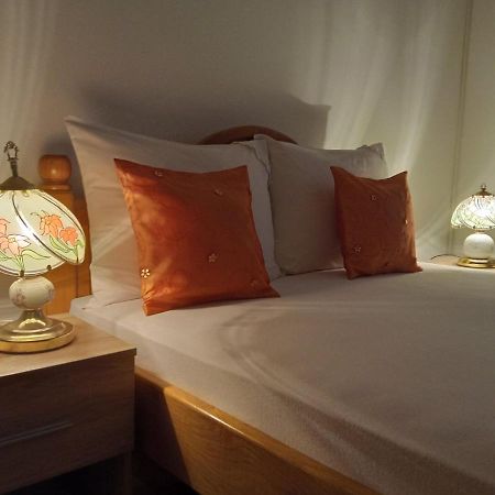 Apartman Andelina Vrnjačka Banja Zewnętrze zdjęcie