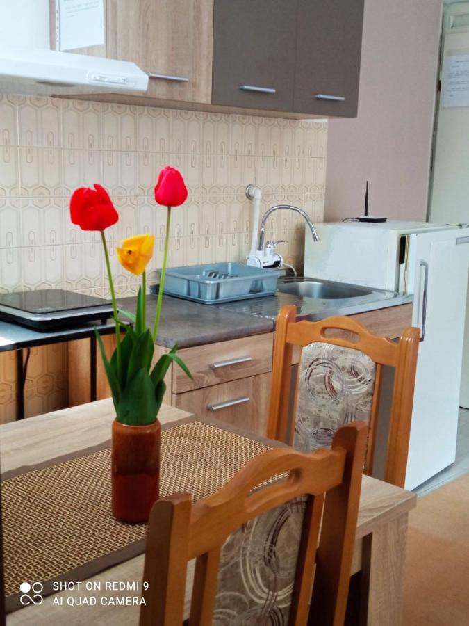 Apartman Andelina Vrnjačka Banja Zewnętrze zdjęcie