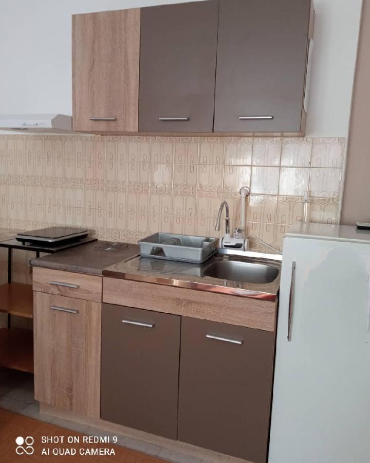 Apartman Andelina Vrnjačka Banja Zewnętrze zdjęcie