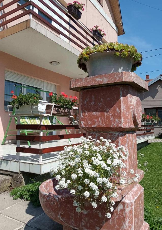 Apartman Andelina Vrnjačka Banja Zewnętrze zdjęcie