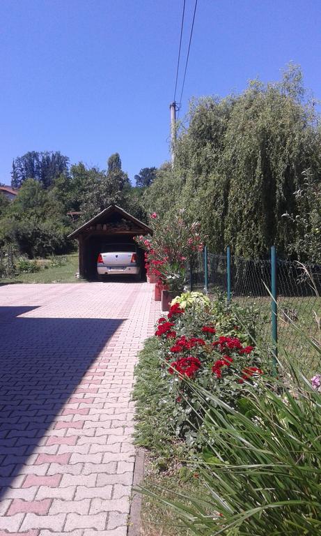 Apartman Andelina Vrnjačka Banja Zewnętrze zdjęcie