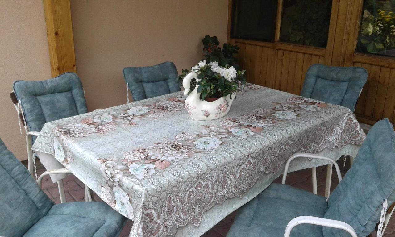 Apartman Andelina Vrnjačka Banja Zewnętrze zdjęcie