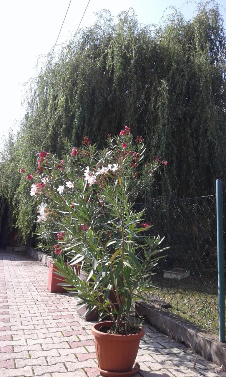 Apartman Andelina Vrnjačka Banja Zewnętrze zdjęcie